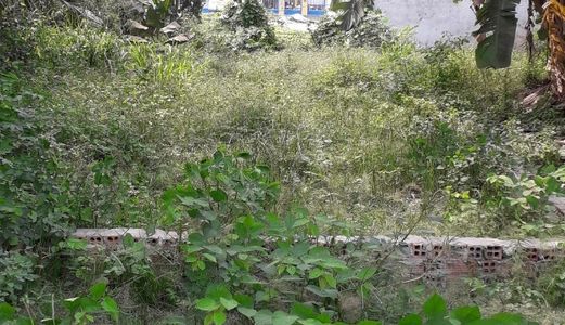 Bán 100M2 Đất Thổ Cư Lương Định Của, Bình An, Quận 2