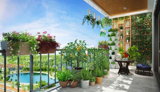 Cần Bán Căn Góc Ngoại Giao V2 A01 Dự Án Terra An Hưng