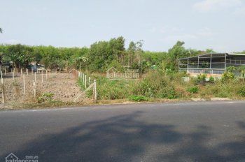Đất Nền Khu dân cư Thiên Đức 2, Củ Chi
