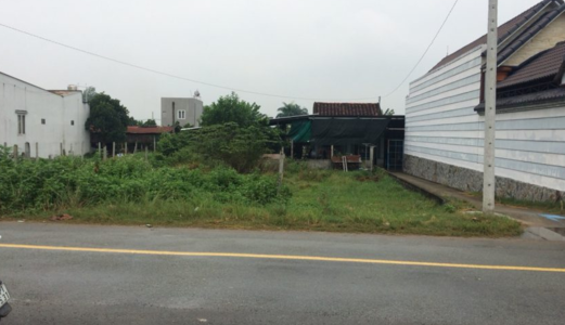 Cần Bán Gấp Lô Đất 1023M2 Ngay Ngã 4 Mặt Tiền Hóc Hưu ( Bình Chánh) Sdt 0906302428 Thuận