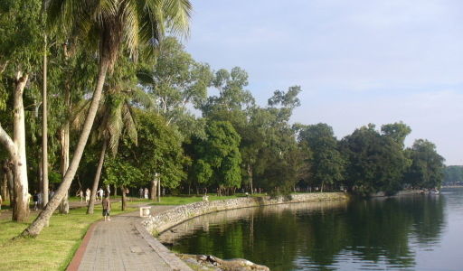 Cho Thuê Căn Hộ Chung Cư Mini 67M2