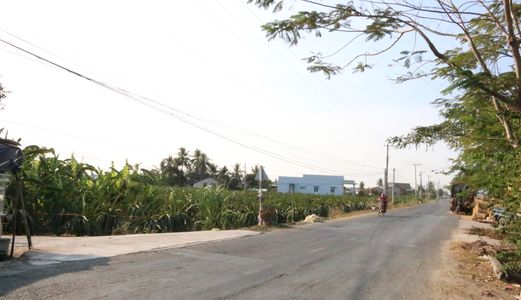 Bán Nhanh Giá Rẻ 3628M2 Đất Thổ Cư Long An, Trồng Thanh Long, Làm Nhà Xưởng, Biệt Thự Vườn