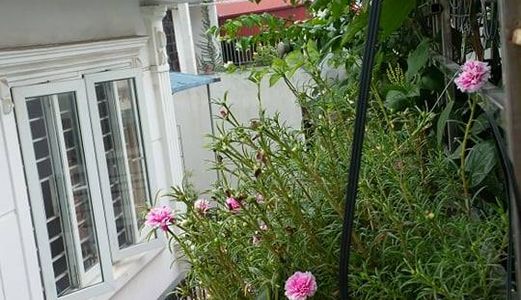 Nhà Phân Lô Phố Kim Mã 50M2 X 5 Tầng, Mt 4M, Giá 4,25 Tỷ