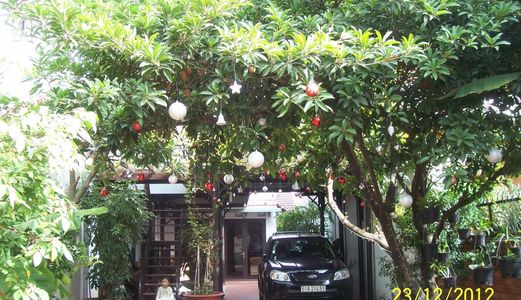 Chính Chủ Cần Bán Biệt Thự Sân Vườn Tại Mặt Tiền Đường Số 15, P11, Quận Gò Vấp . >> Diện Tích 287M2