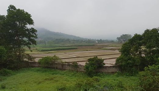 Bán Đất Thổ Cư Yên Bài, Ba Vì, Hà Nội, 2450M2, Mt 54M, Đường 2 Ô Tô Con Tránh Nhau, View Núi Ba Vì
