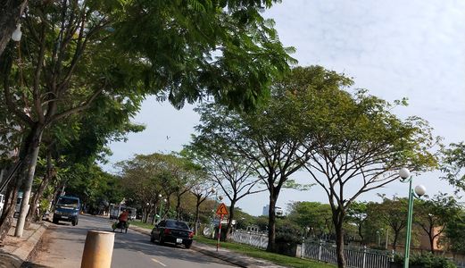 Chính Chủ Bán Nhà Cấp 4 Kiệt 4M Trần Cao Vân