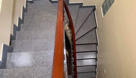 Chủ Cần Bán Nhà Vào Nam Lô Góc Đang Kinh Doanh Cực Đỉnh Lạc Trung