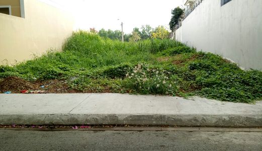 Bị Lừa Ôm Nợ Cần Tiền Bán Gấp 234M2 Đất Mặt Tiền Đoàn Nguyễn Tuấn - Giá 2,17 Tỷ. Lh 0945224320