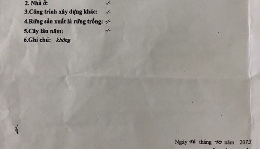 Bán Gấp Nền Trục Chính Hẻm 4 Bùi Hữu Nghĩa (Cạnh Trường Cấp 2 Bình Thủy). Thuận Tiện Kinh Doanh.