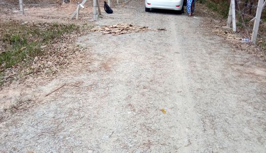 Hot! Hot! Bán Đất Chính Chủ Long Nguyên, Bình Dương 765 Triệu/1025M2