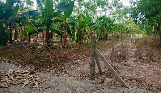 Hot! Hot! Bán Đất Chính Chủ Long Nguyên, Bình Dương 765 Triệu/1025M2