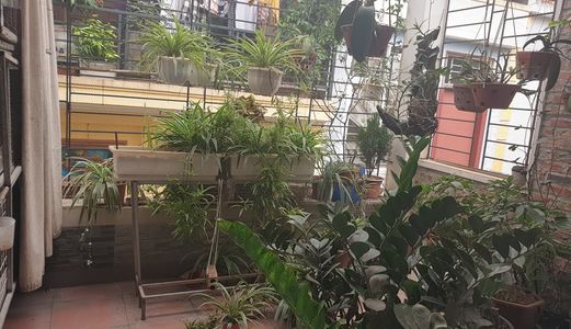 Thanh Xuân - 58M2 X 5 Tầng X 5M Mặt Tiền - Phân Lô - Văn Phòng - 5,5 Tỷ Có Thương Lượng