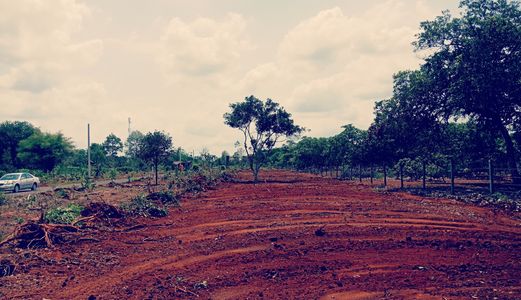 Mở Bán Dự Án Phú Mỹ Garden Home Đã Có Sổ