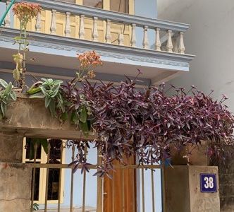 Đất Phân Lô Khu Biệt Thự Bên Hồ Lâm Du