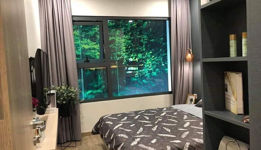 Vinhomes Ocean Park Gia Lâm, Thông Tin Trực Tiếp Cđt, Tại Sao Nên Sở Hữu?