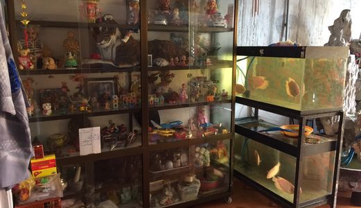 Bán Nhà Mặt Tiền Hoàng Hoa Thám Vị Trí Quá Đẹp Nằm Gần Ngã Tư Buôn Bán Kinh Doanh Quá Sinh Lời 