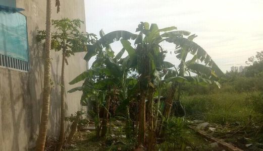 Đi Định Cư Cần Bán Gấp Đất 125M2 Ngang 5M Mặt Tiền Đường Nữ Dân Công Giá 1,1 Tỷ. Lh : 0945224320