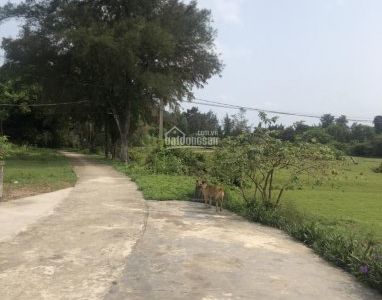 Chính Chủ Cần Bán 8852.1M2 Đất, Vị Trí Cực Đẹp Tại Đảo Cô Tô Lớn