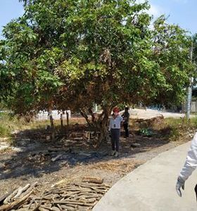 Chủ Thu Vốn Cần Bán Gấp Vài Lô Đất Thỗ Cư An Phước Long Thành 410Tr/nền