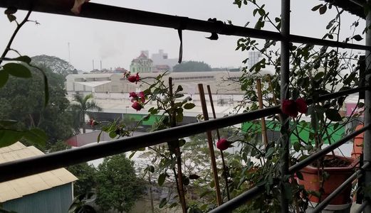 Không Nhu Cầu Ở Bán Nhà Đại Từ Hoàng Mai 40M5, Giá 2 Tỷ5. Tặng Nội Thất Xịn.mrhổ:0982 29 20 21 