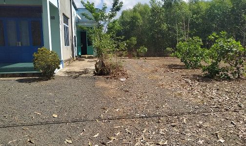 Đất Khu công nghiệp Dầu Giây Sổ Riêng 220 Triệu/nền 100M2