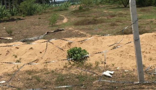 Đất Biệt Thự Long Phước Q.9, Giá Chỉ 11,5 Triệu/m2