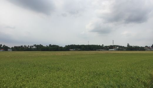 Chính Chủ Gửi Bán Nhanh Lô Đất