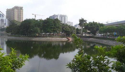 Cho Thuê Gấp Nhà Nguyên Căn Mặt Phố Đặng Tiến Đông, Diện tích: 65M2