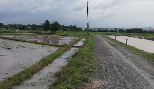 Bán Đất Rẻ Cho Anh chị em Đầu Tư Sinh Lời Cao
