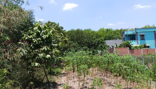 Tôi Cần Bán Miếng Đất Đường DX13, Phường Phú Mỹ, Thủ Dầu Một, Bình Dương