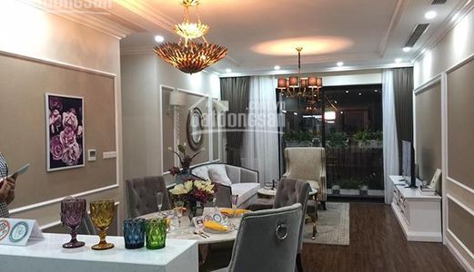 Ưu Đãi Duy Nhất Cho Khách Hàng Nhanh Tay Mua Căn Hộ Tại Roman Plaza