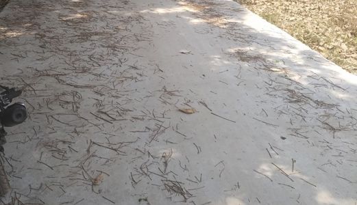 Đầu Tư Tốt Nhất Trên Thị Trường Vẫn Là Bất Động Sản, Pháp Lí Rõ Ràng Đã Ra Sổ Sang Tên Trong Ngày