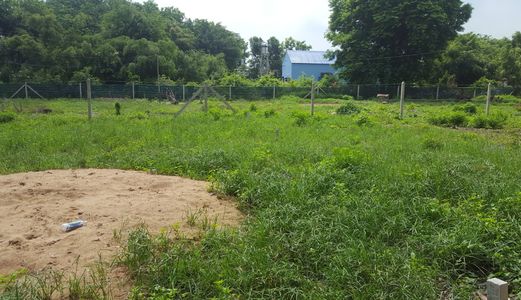 Đầu Tư Tốt Nhất Trên Thị Trường Vẫn Là Bất Động Sản, Pháp Lí Rõ Ràng Đã Ra Sổ Sang Tên Trong Ngày