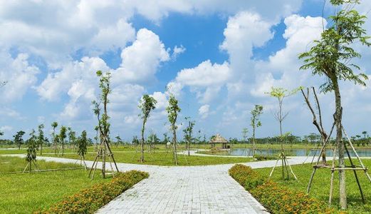 Dự Án Sapphia Villas Nằm Trước Siêu Dự Án Vingroup, Sổ Hồng Từng Nền, Sang Tên Ngay