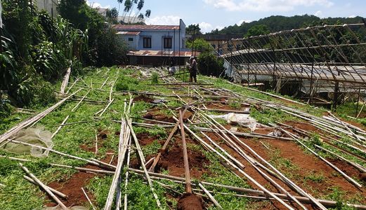 Bán Đất Đường Vạn Thành, Phường 5, Đà Lạt - 1137,71M2 - Đ3836