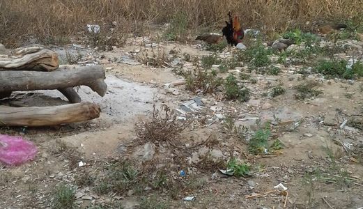 Chính Chủ Cần Bán Gấp Đất Bình Chánh