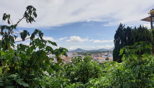 Bán Đất Đường Triệu Việt Vương, Phường 4, Đà Lạt - 1580,08M2 - Đ3843