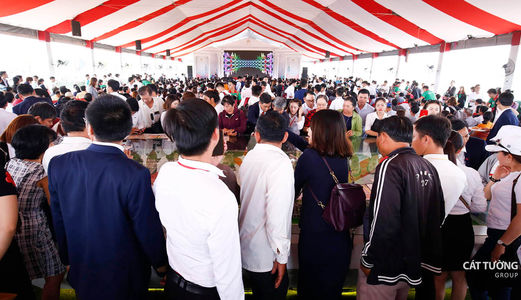 40% Lợi Nhuận 6 Tháng, 200% Trong 2 Năm, Cát Tường Phú Hưng Mang Lại Trong Đợt 4. Ck 10%,xe Sh 