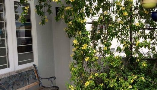 Nhà Đẹp, Nhiều Cây Xanh Cần Bán 