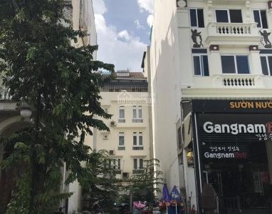 Cần Bán 2 Lô Đất Mặt tiền Đường Phan Khiêm Ích, Phú Mỹ Hưng, 12X18,5M, Sổ hồng riêng