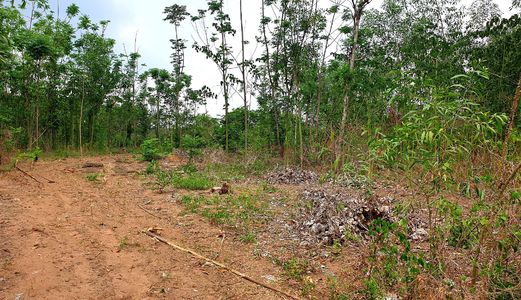 Cần Bán 5 Sào Đất Trong Khu Dân Cư Xã Phú Hòa, Gần Khu Du Lịch Suối Mơ