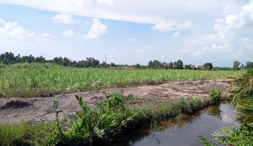 Cần Bán Đất Nhơn Trạch - Đồng Nai