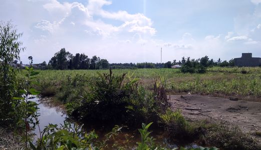 Cần Bán Đất Nhơn Trạch - Đồng Nai