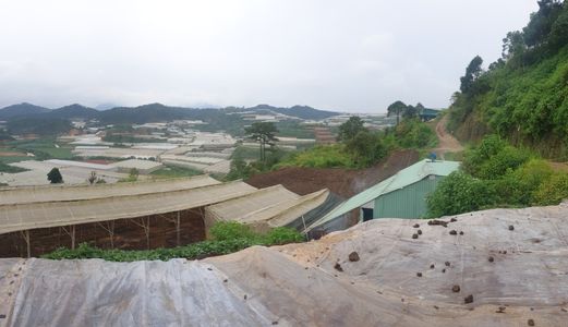 Bán Đất Vườn Đường Trần Văn Côi, Phường 5, Đà Lạt 1783,4M