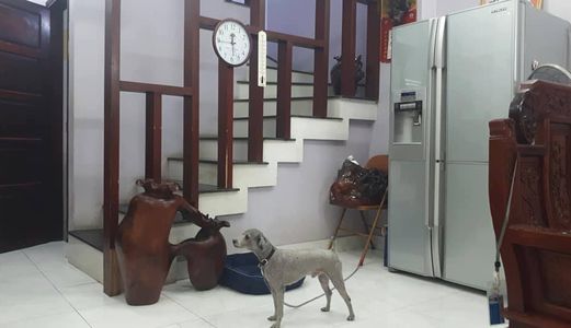 Bán Nhà Riêng 21 Lê Đức Thọ, Mỹ Đình, Dt 50M2, Ô Tô Đỗ Cửa 0946866186