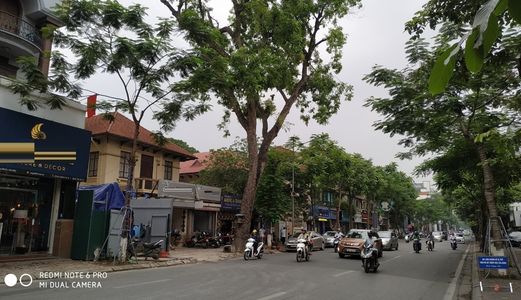 Nhà Mặt Phố Nguyễn Thái Học, Thương Mại, Kinh Doanh, 61M2 X 8 Tầng, Mặt Tiền 5.6M, 30.5 Tỷ, Lh 0917420066