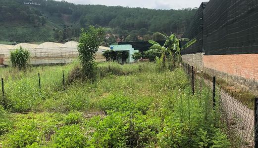 Bán Đất – Khu Vực Định An – Đức Trọng