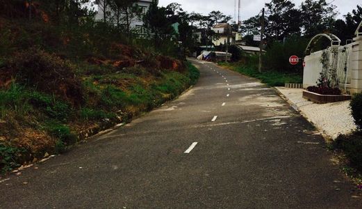 Bán Đất Đường Khu Quy Hoạch Viện Nghiên Cứu Hạt Nhân, Phường 11, Đà Lạt - 208M2 Đ3902