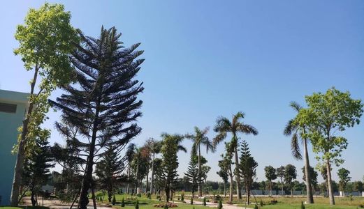 Bán Đất Mt 30M Gần Chợ Hóc Môn, Giá Từ 15Tr/m2, Hạ Tầng Đã Xong, Trả Trước 30%, Ngân Hàng Cho Vay 70%