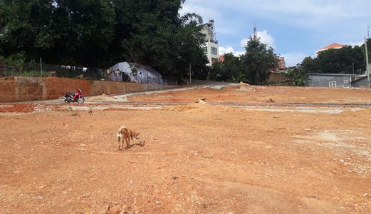 "bán Đất Đường Vạn Hạnh, Phường 8, Đà Lạt 233,3Mv Đ3909